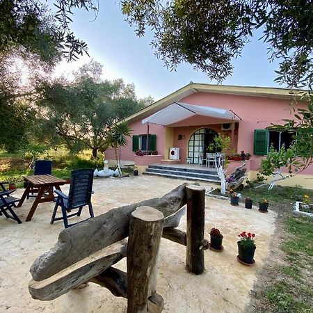 Endless Green: Feel Free And Cozy In Nature Perivólion Екстериор снимка