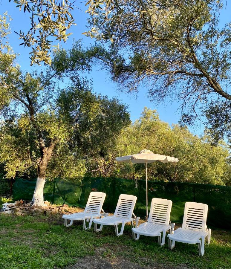 Endless Green: Feel Free And Cozy In Nature Perivólion Екстериор снимка