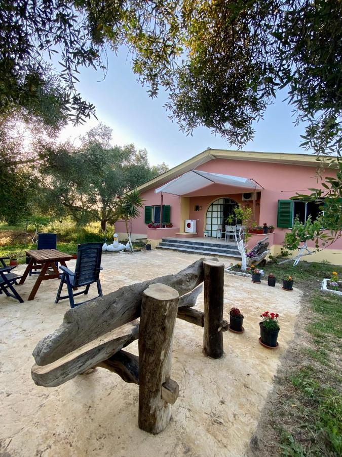 Endless Green: Feel Free And Cozy In Nature Perivólion Екстериор снимка